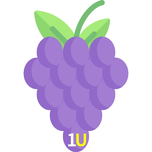 1U